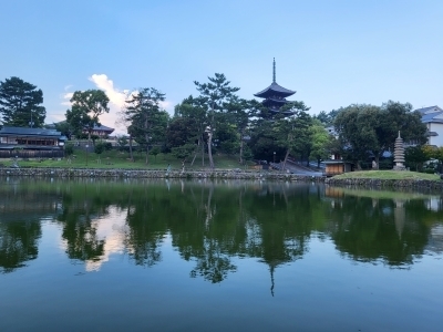2023年7月28日奈良日帰り (10)-1.jpg
