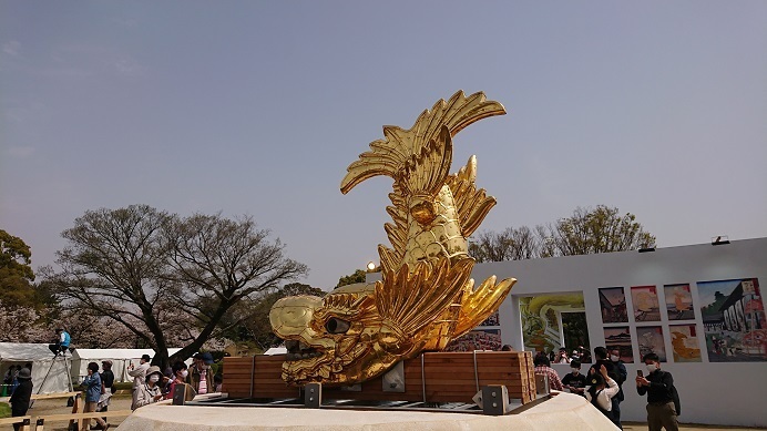DSC_1575.JPG